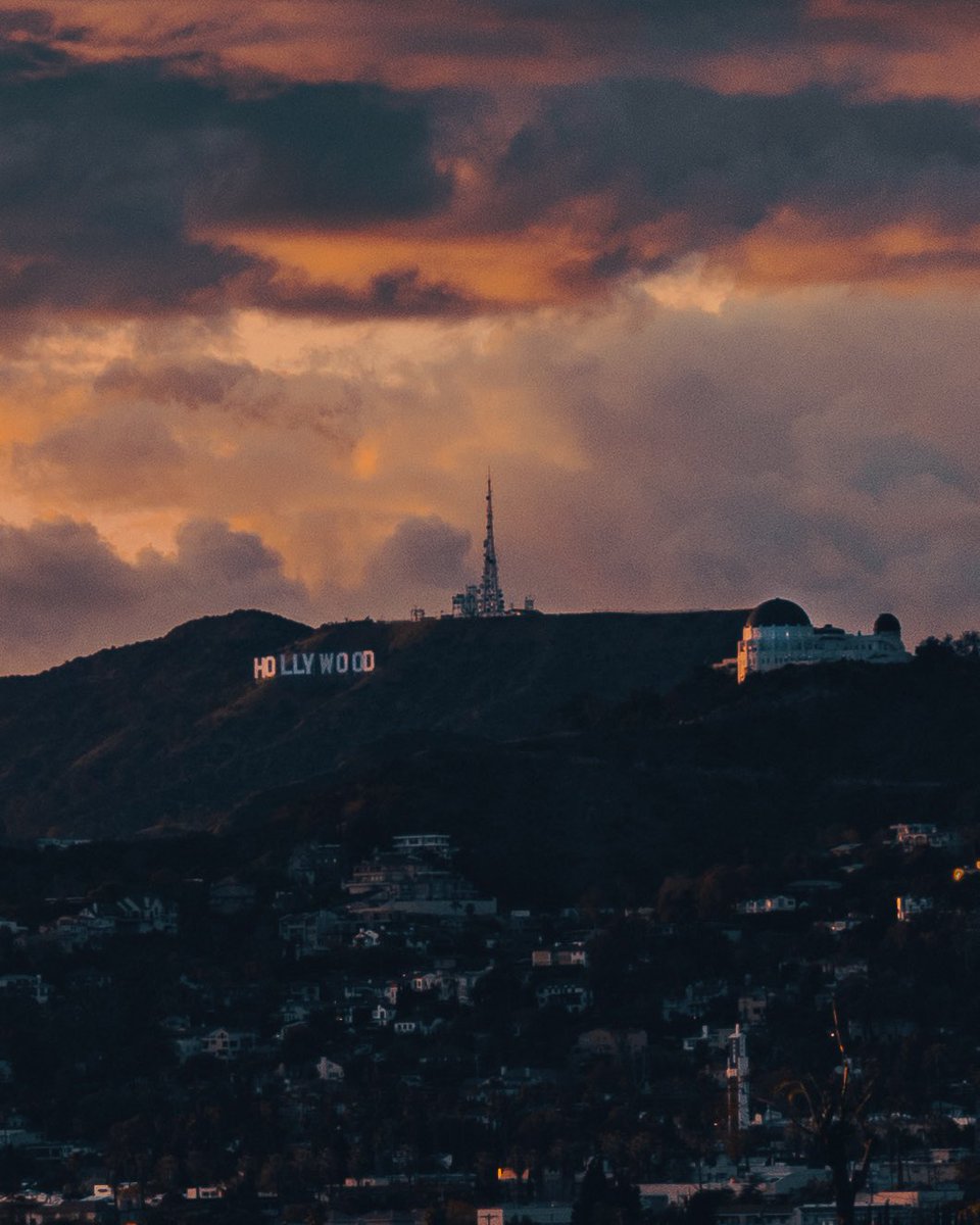 devon_weymouth's tweet photo. Que drama #LA https://t.co/cx01uaD858