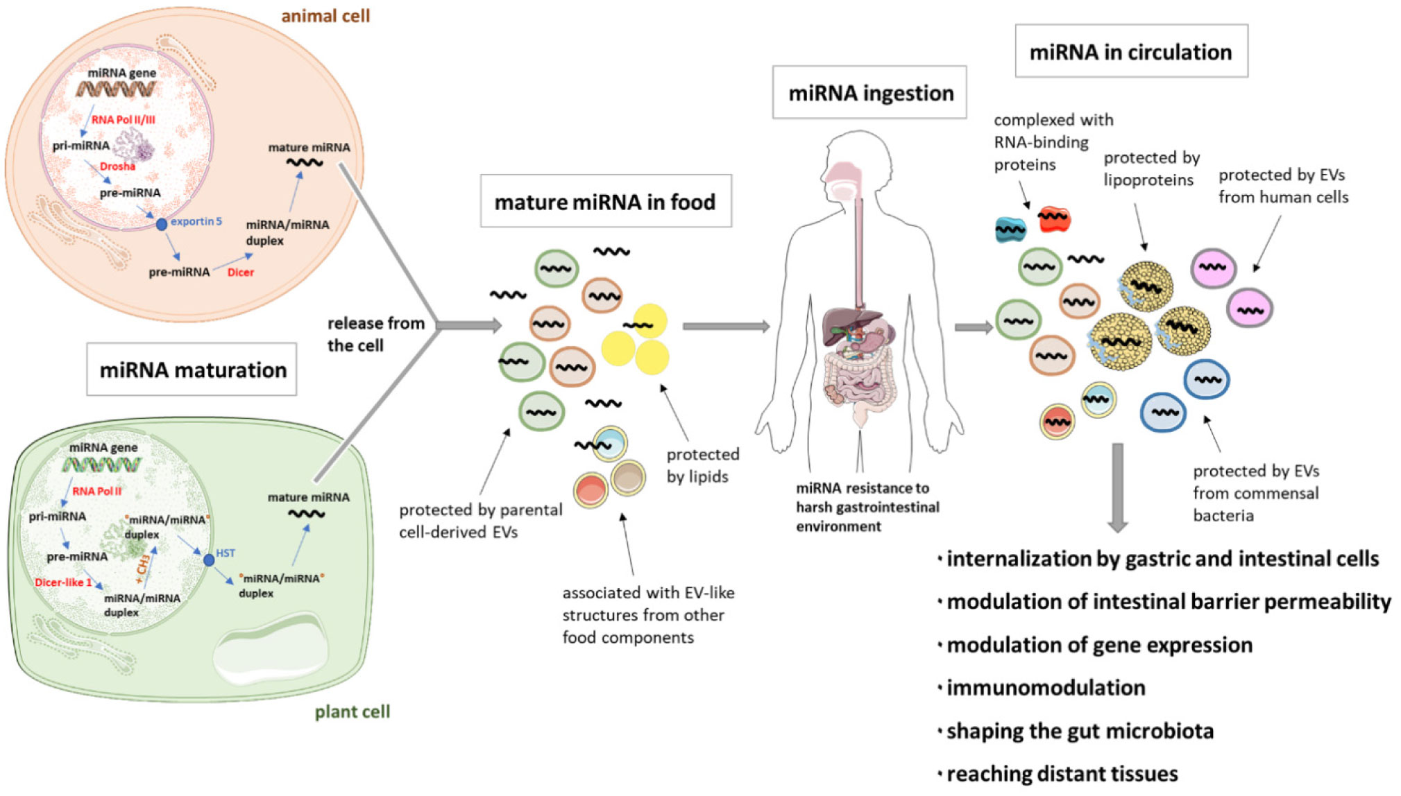AIMS Allergy and Immunology (yapingw97685610) / Twitter