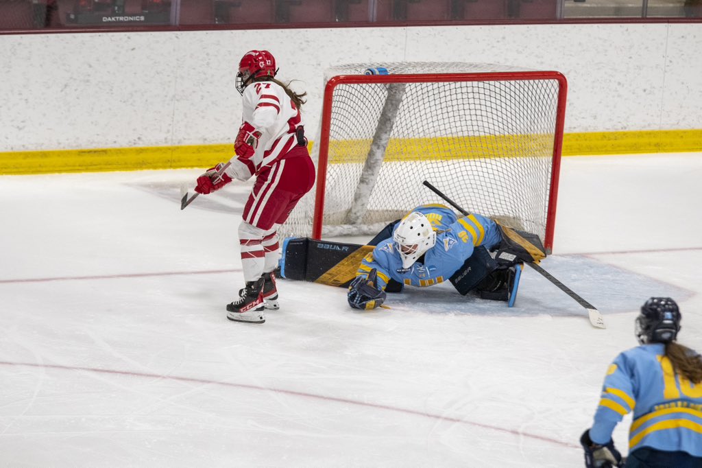 LIU Women's Hockey tweet media