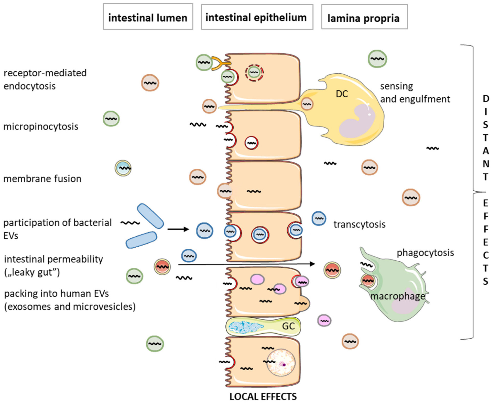AIMS Allergy and Immunology (yapingw97685610) / Twitter