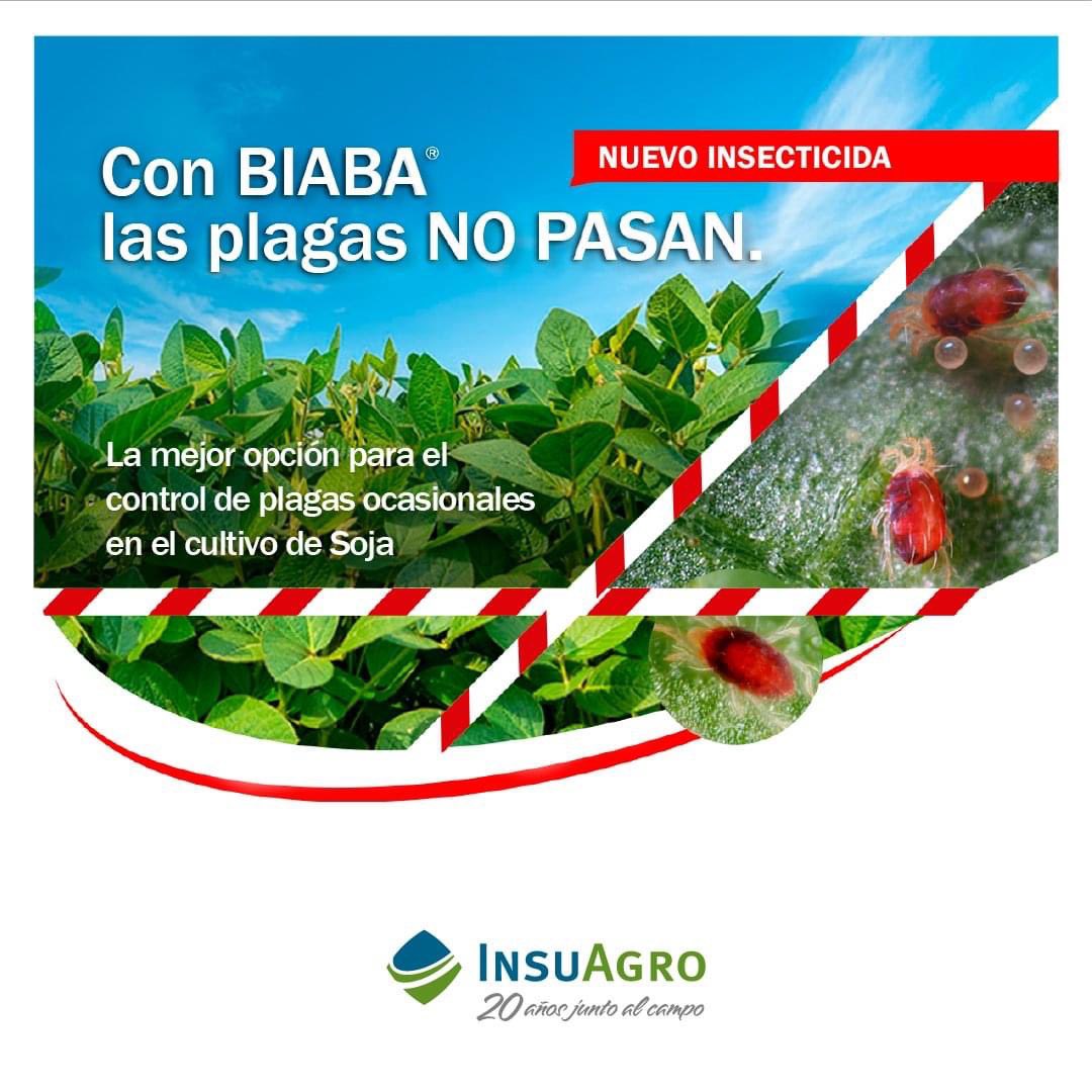 𝗕𝗜𝗔𝗕𝗜𝗔🦟 

Es un insecticida que combina la acción de 2 principios activos (un piretroide y una avermectina) . Actúa por contacto ee ingestión,  Esta especialmente indicado para el control de 𝘁𝗿𝗶𝗽𝘀 en el cultivo de soja