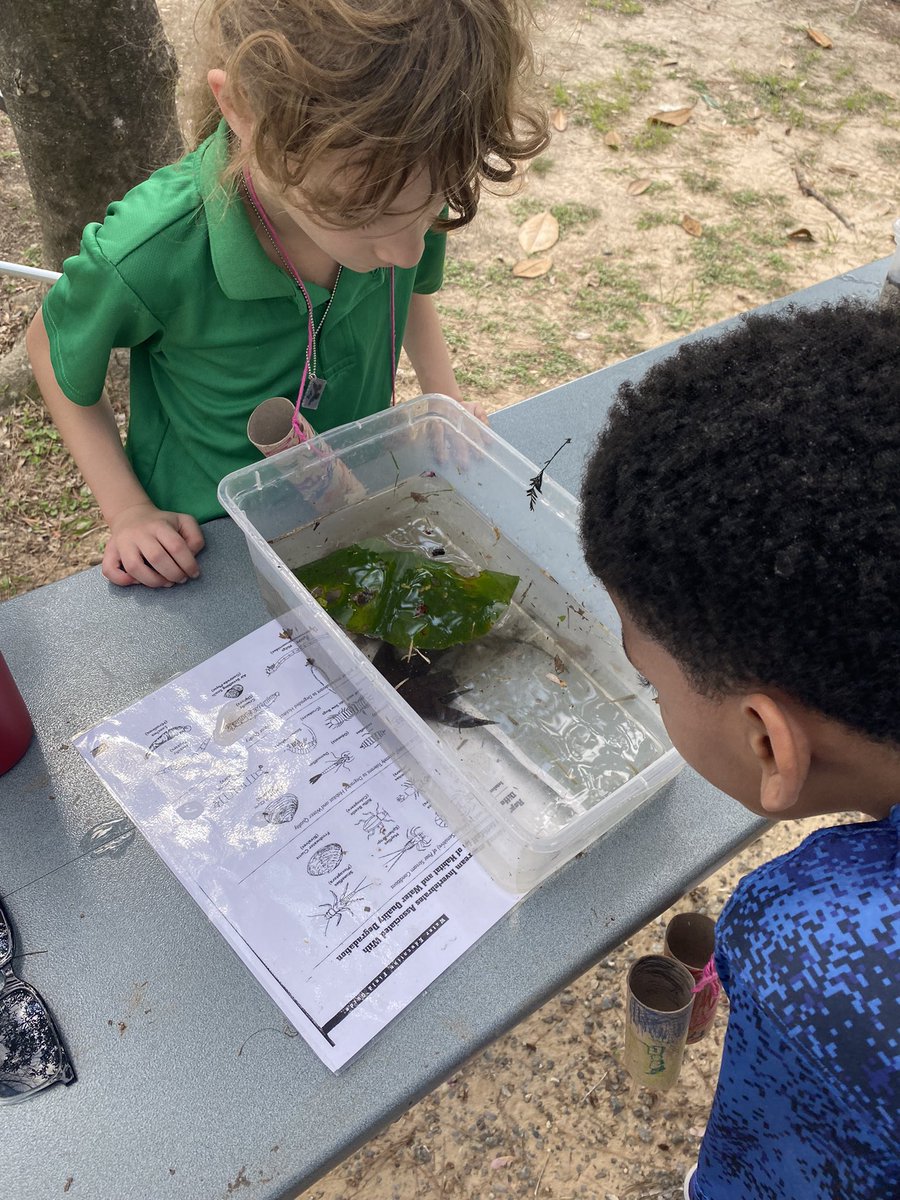 katiewhitefordd's tweet photo. Thank you @CELFeducation for helping our 3rd Graders have a magical day learning about erosion, wetland ecosystems, and animal adaptations! @lantrip_hisd https://t.co/5ij2nCpsUp