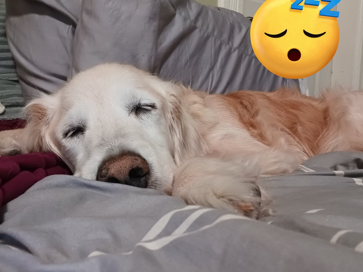 Nite nite frens 

#BonusDay721