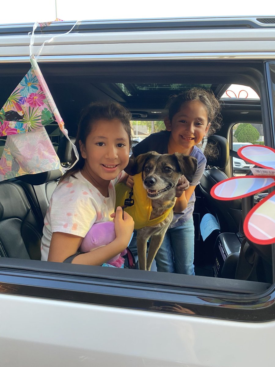 candace_oh's tweet photo. Pet Parade Day! A dog named Tobin dress as a banana 🍌💛 nuff said. #LPGreatThings https://t.co/dqkV26E1ON