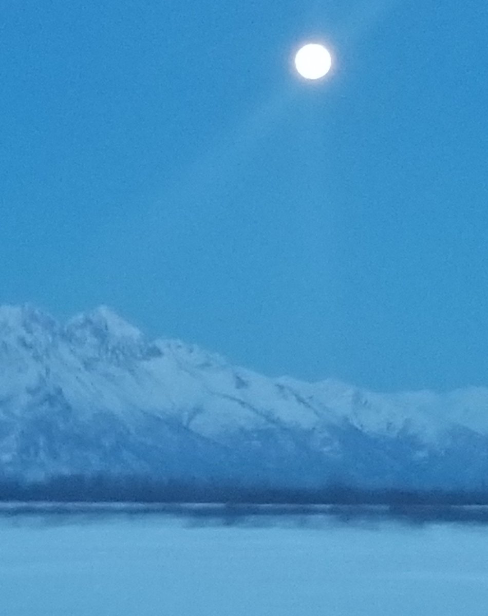 AAuth89's tweet photo. A beautiful shot of the full moon over the mountains near my house. Hyroc lived in a cabin on a mountain; I wonder if he would have seen something similar in the night sky during a full moon?
#Hyroc #treeofmemories #outcast #AdamFreesxtonebooks #authormasterminds #alaska https://t.co/zTAxtwkXMd