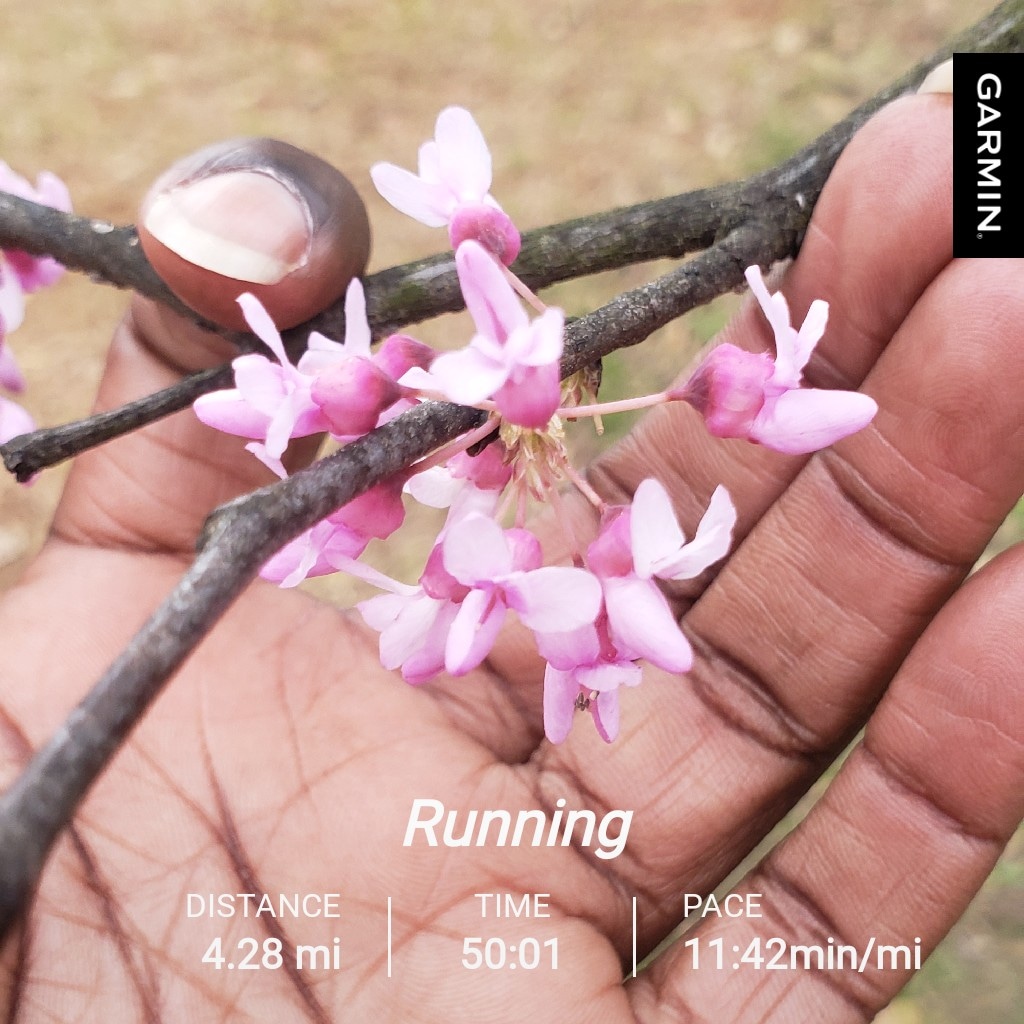 nacole99's tweet photo. Love the flowers, despise the pollen. An easy run to prep for the #savwomenshalf on 4/1/23. #bibchat #SavWomensHalfBR #RunSAV #runchat #leagueofgarmin #bibravepro https://t.co/PjSn6WLz6K