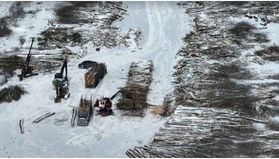 This Radio Canada/@iciottgat image seems to show a full logging operation in the Tewin area, @JCHIANELLO @KatePorterCBC . Can you investigate and share which contractor is involved, what is happening to the logs and - how much it's all worth?