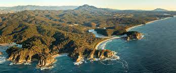 FFF_Aus's tweet image. #StopNativeForestLogging
#SeeNSWBeforeDomSellsIt 

@forestsforlife @AFCA_Forests @Manyana_Matters @naturensw @FMogo @fff_Sydney @fff_coast @WWFForestCarbon @BegaGreens @350Eurobodalla