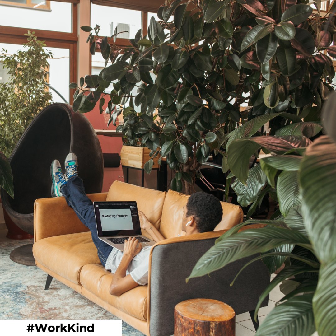 magnuswood's tweet photo. Today's #WorkKind Idea: Foster a supportive workplace by providing resources and tools that promote well-being and work-life balance. Encourage self-care, offer flexible schedules, and prioritise the health and happiness of your team. #SupportiveCulture https://t.co/1PYFgviMMI