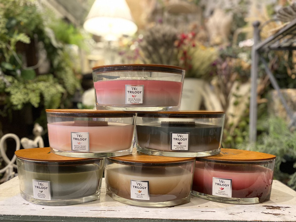 richcandle's tweet image. 大人気キャンドル！
 #WoodWick のトリロジーハースウィックLキャンドルの新しい香りが入荷しました！

トリロジーシリーズは3層構造でそれぞれ香りが違うキャンドル✨

こちらもハースウィック、ジャーS同様に数量が限られていますのでお早めに！
 #ホワイトデー ＃音が鳴るキャンドル #暖炉 #ギフト