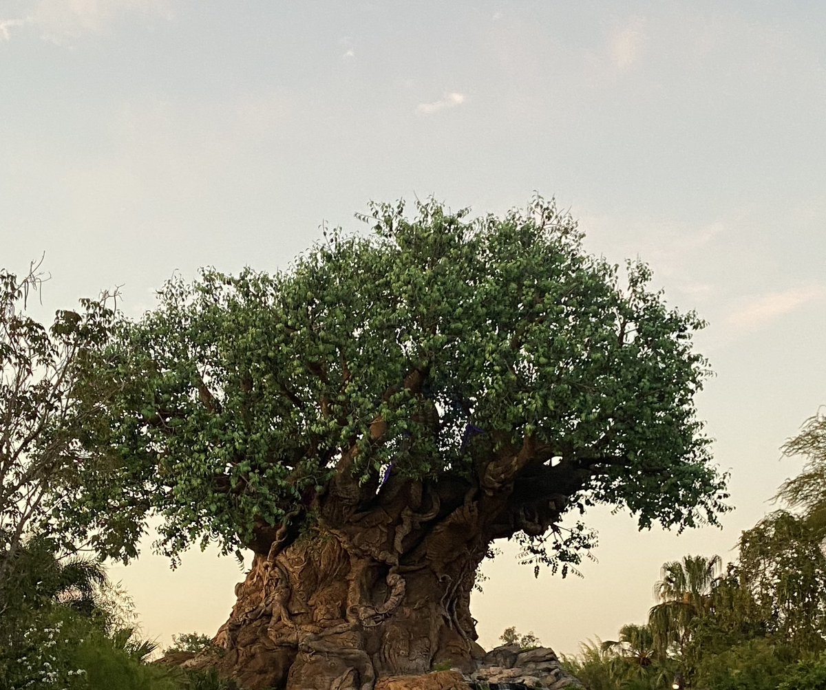 Three parks in 3 hours with this crew on our last Disney day!
