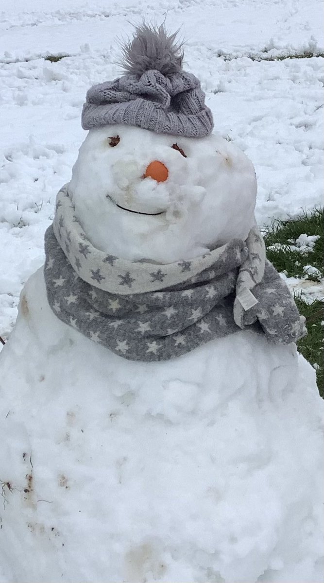 SJVlower tweet media