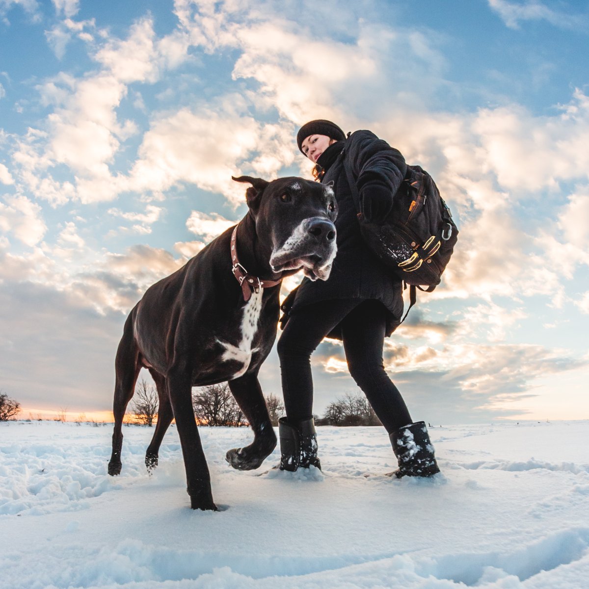 Más vale prevenir que curar.

La #medicinapreventiva nos permite detectar patrones y problemas a tiempo. #DinbeatUNO® es una herramienta que facilita el #control rutinario de nuestros #animales, permitiendo a los profesionales #veterinarios reaccionar a tiempo.
