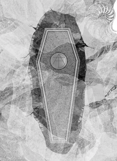 kadou 🐉 $MON tweet media