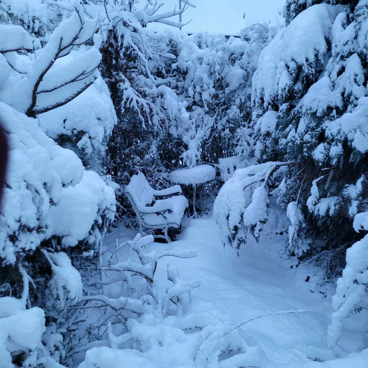 Morning from my mountain top home!! I love the snow but not the fact I can't cross the Pennines to work today, but on balance what's not to like!!!! Bx
#snowday #winterscoming #godsowncountry