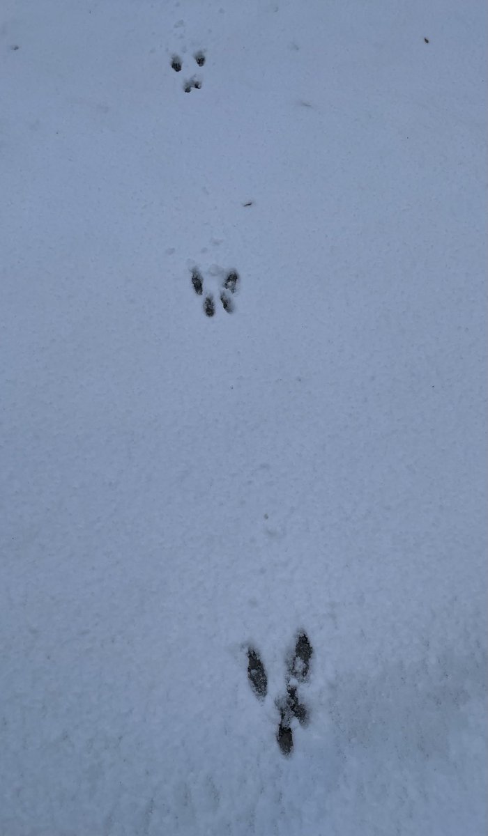 Lee Buttery tweet media