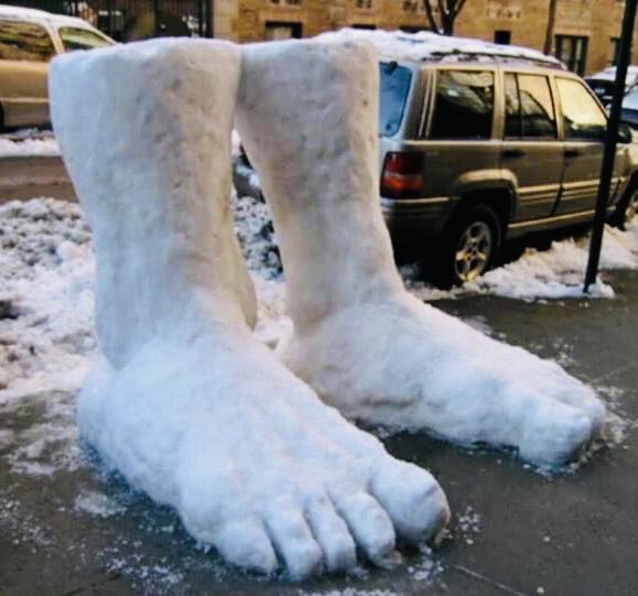 Lisa Allen tweet media