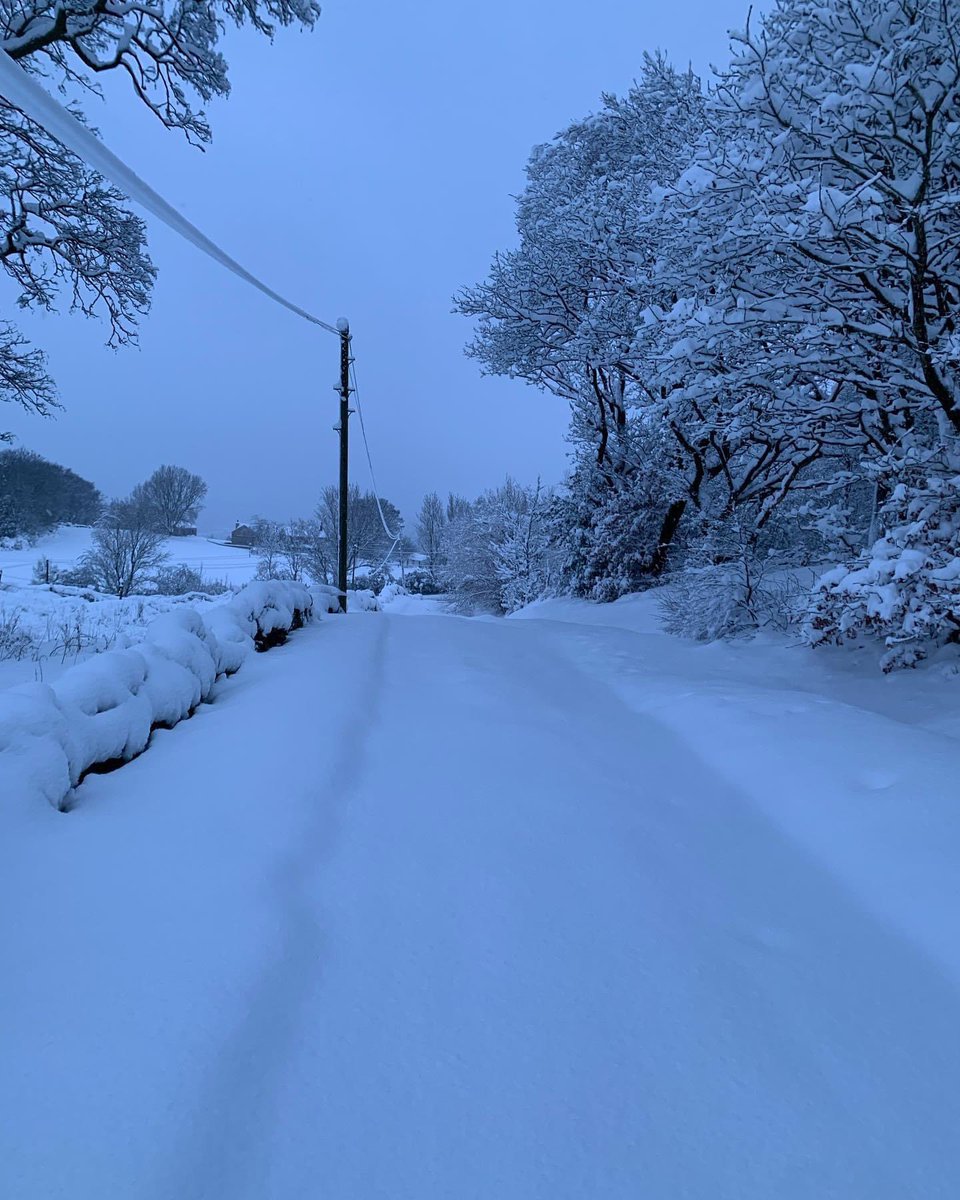 SMorrellAuthor's tweet image. Anyone else currently googling ‘how to build a decent igloo’!! ❄️ ⛄️ 

#SnowDay #HomeSchooling #FirstLesson #PE #AuthorsLife