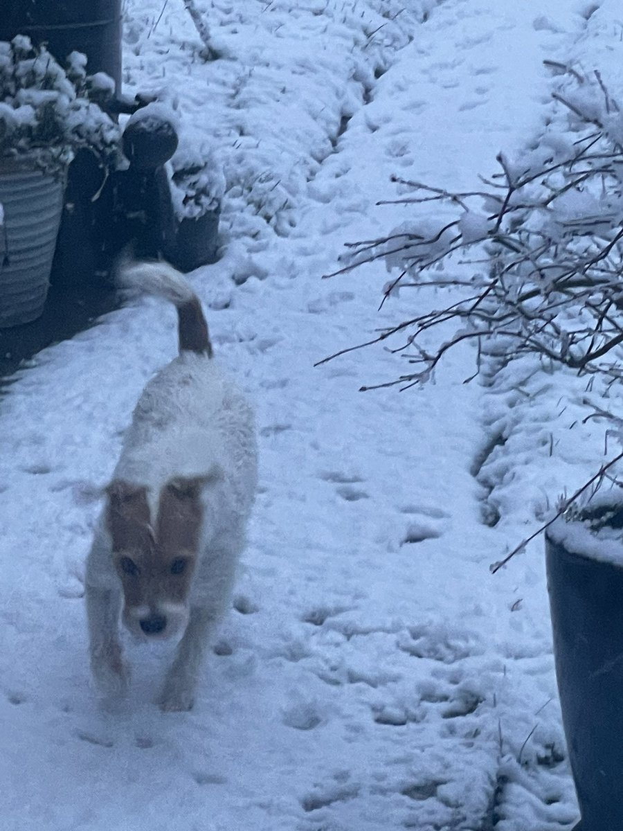 We have sent out messages far and wide. Transport has been cancelled today ad unfortunately School is closed. We look forward to seeing your Snowmen on our school feed later. Make some memories 😊