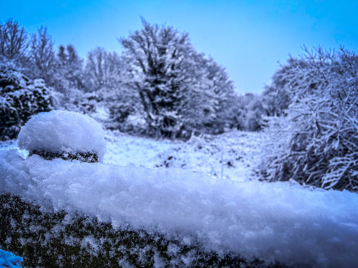 6:30am dog walk with a difference this morning! #Snow #Heswall #Wirral