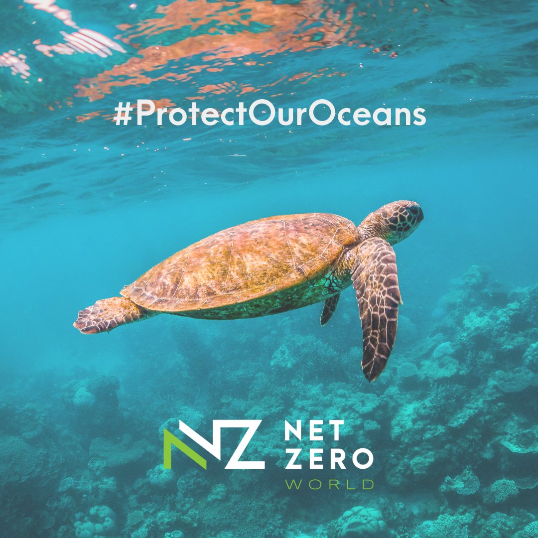 An agreement has now been made to help #ProtectOurOceans - The High Seas Treaty. This will place 30% of our oceans into protected areas by 2030! 

This is a critical step in protecting our planet’s vital resources.

#ClimateChange #ActOnClimateChange  #NetZeroWorld #BBCNews