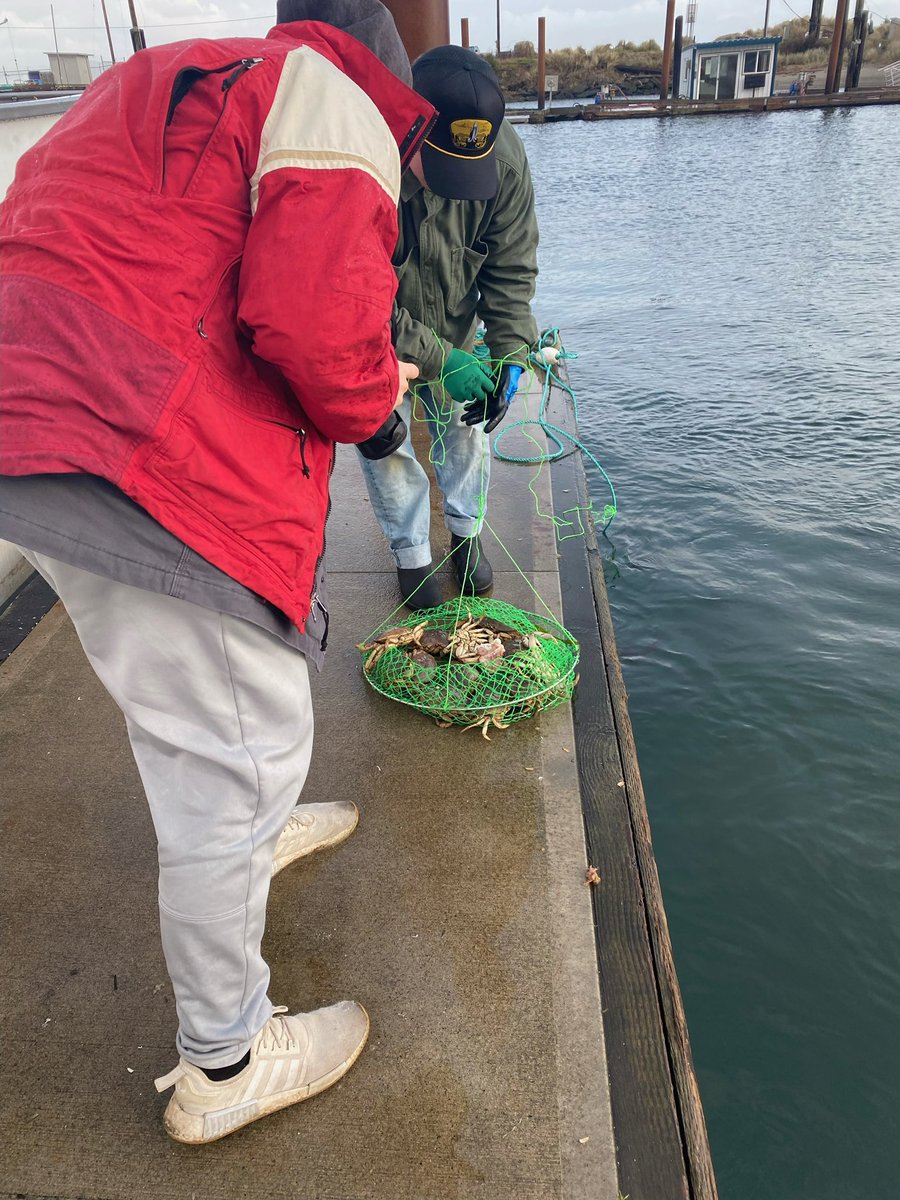 Flux Magazine tweet media