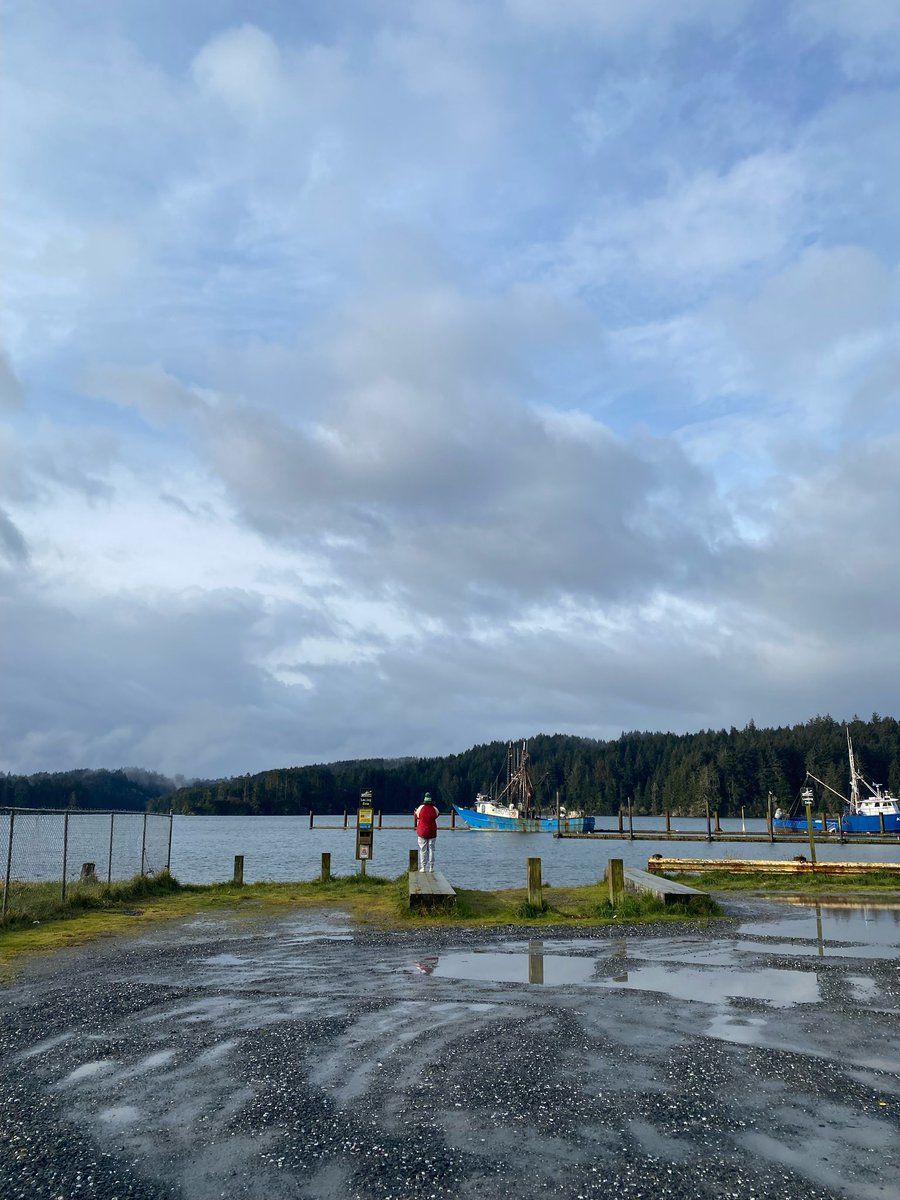 Flux Magazine tweet media