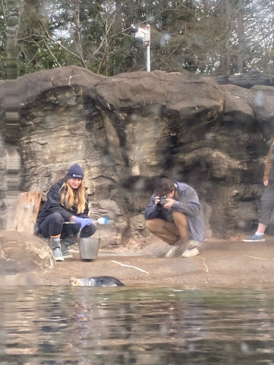 Flux Magazine tweet media