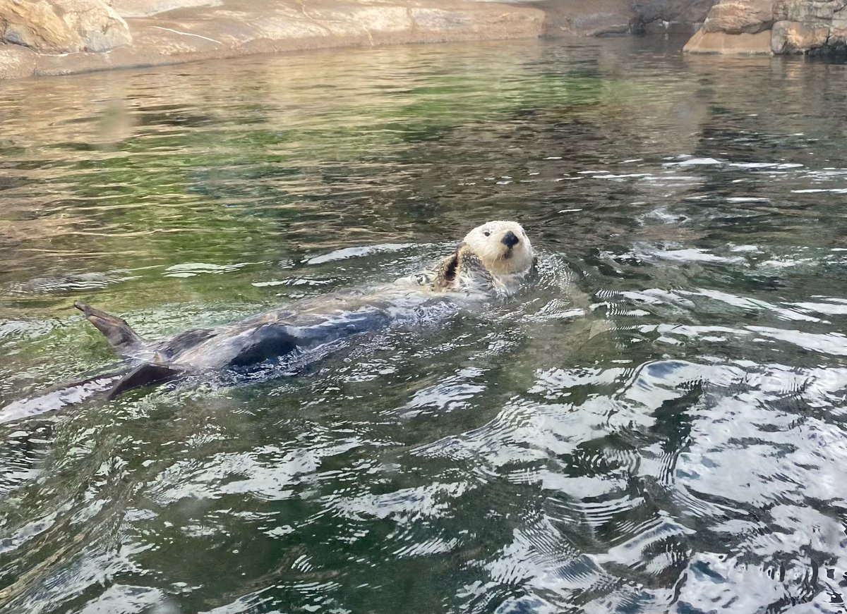 Flux Magazine tweet media