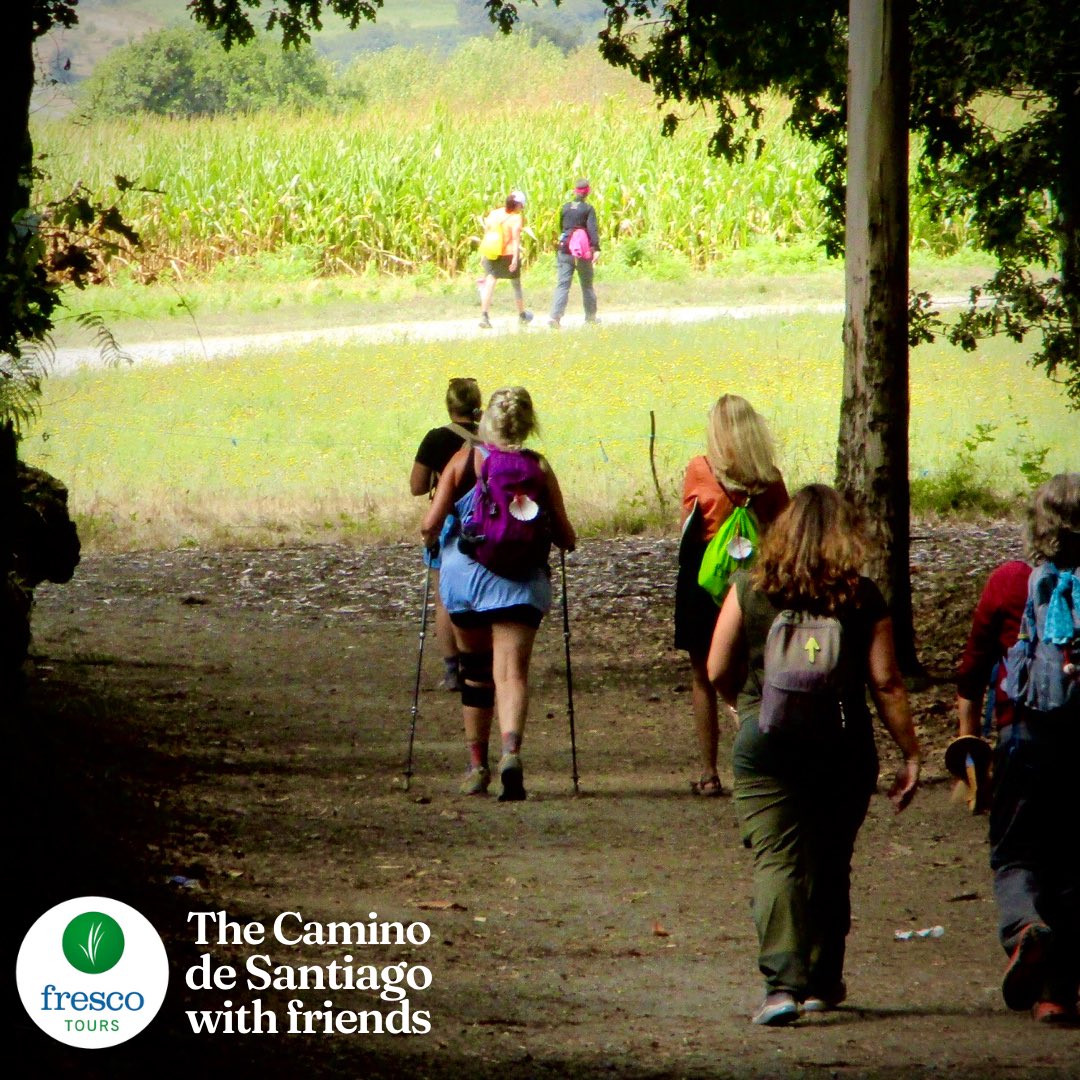 fresco_tours's tweet photo. We’ve still got some spots on our Camino de Santiago and Kinder (gentler) Camino Tours.
https://t.co/OWRELinofZ
#CaminodeSantiago #FrescoTours #Spain #VisitSpain #Friends #Vacation #Holiday #Hike https://t.co/ngosJGXgYO