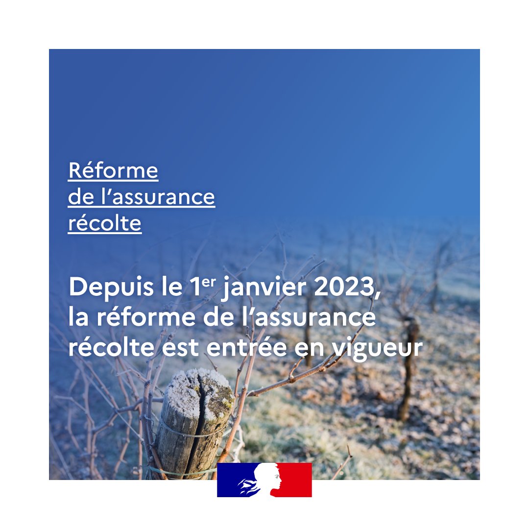 Ministère Agriculture et Souveraineté alimentaire tweet media