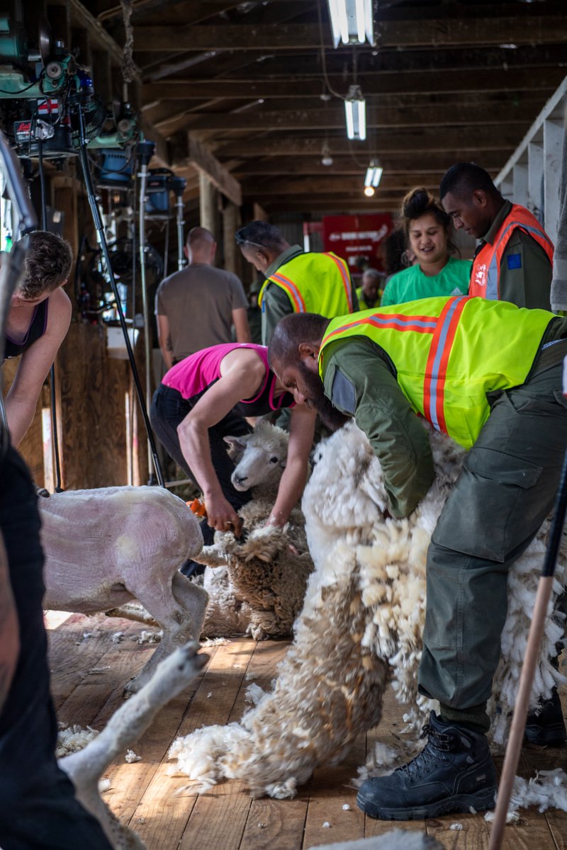 NZDefenceForce tweet picture