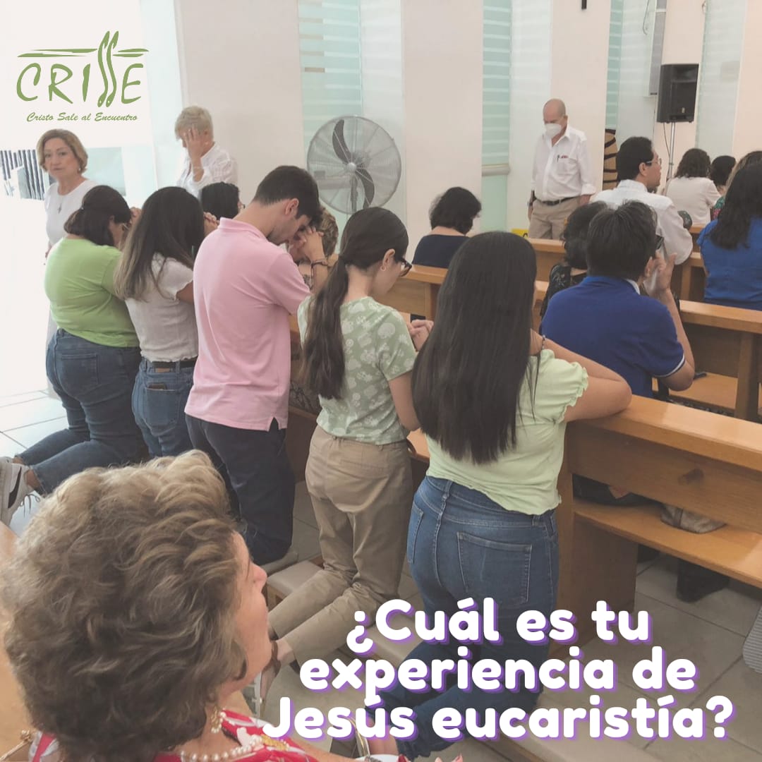 CrCrisse's tweet photo. Hoy los católicos tenemos necesidad de Cristo presente en la eucaristía. Compártenos tu experiencia 🥖❤‍🔥✝️ https://t.co/Hap0kE1pjq