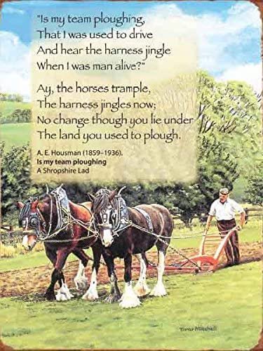 Edmonton Harvey Specter tweet media