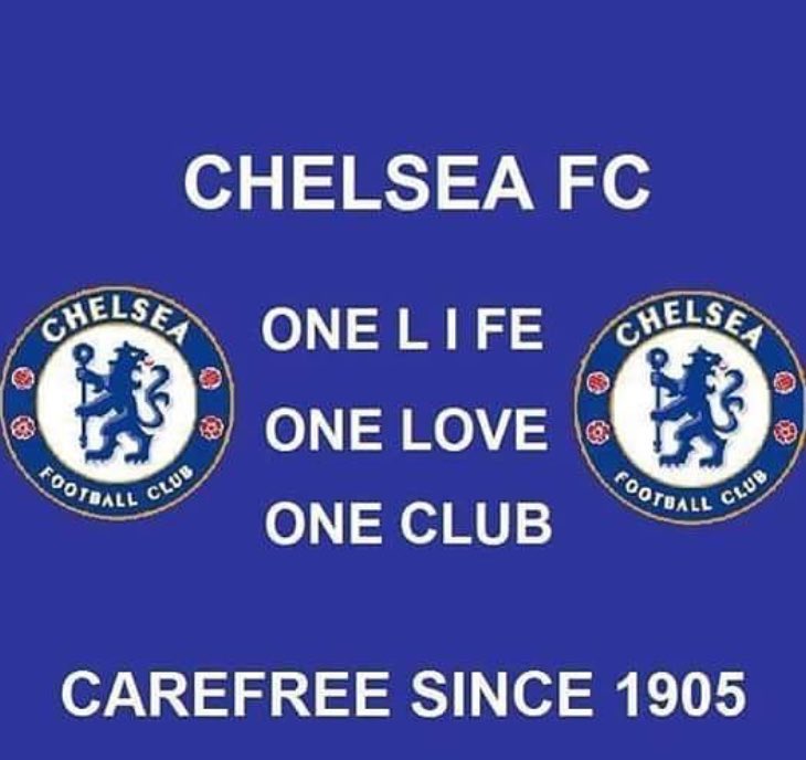 THE CHELSEA FORUM tweet media