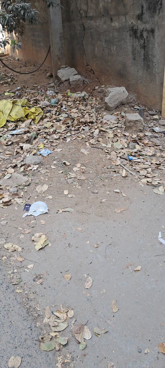 KidambiV's tweet photo. @ZC_SLP Swept overs mostly dry leaves and garbage with covers stewn by Monkeys dogs remain for weeks not being collected regularly. https://t.co/qb0eDNUuto.16, Plot No.285 and 286 Telecomnagar https://t.co/RyapsZ3zZJ