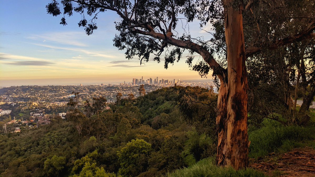 Golden times.

#LosAngeles #griffithpark