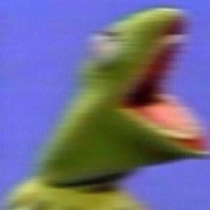 josiesomething's tweet photo. Travis: we’re fine 
Also Travis: 
#CriticalRole #CriticalRoleSpoilers https://t.co/UmCjWW6Uaf