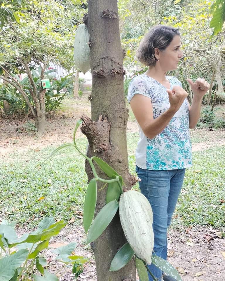 Turismo_Tabasco's tweet photo. Ven a #Tabasco a vivir y disfrutar de #ExperienciasMemorables en la #RutaDelCacaoAlChocolate en la @haciendalaluz
#TabascoMemorable https://t.co/ObcYZa1OuW