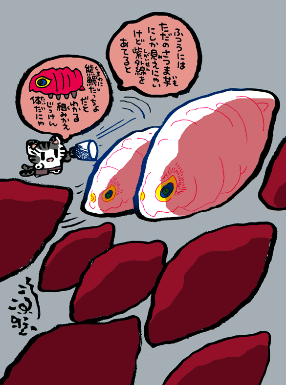 #妖界東西新聞 【紫外線を当てると赤くみえるやつ】https://t.co/9gYsM7n2o6 