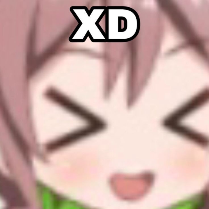 Ecolo (@ringosno1fan) on Twitter photo 