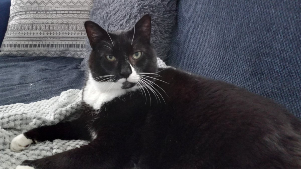 val__txt's tweet photo. This is Frank. Please introduce yourself to Frank. https://t.co/0js2r07gaB
