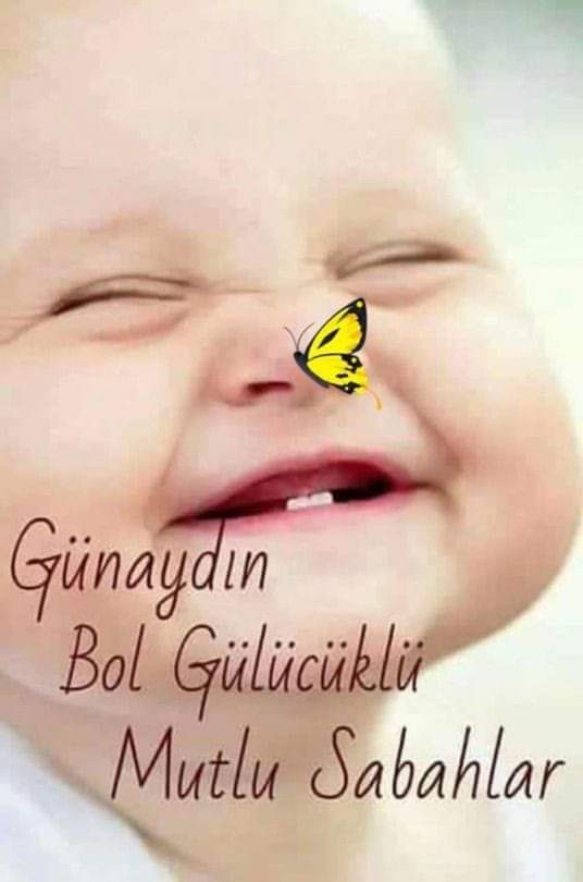 boş isler (@serapahmet14) on Twitter photo 