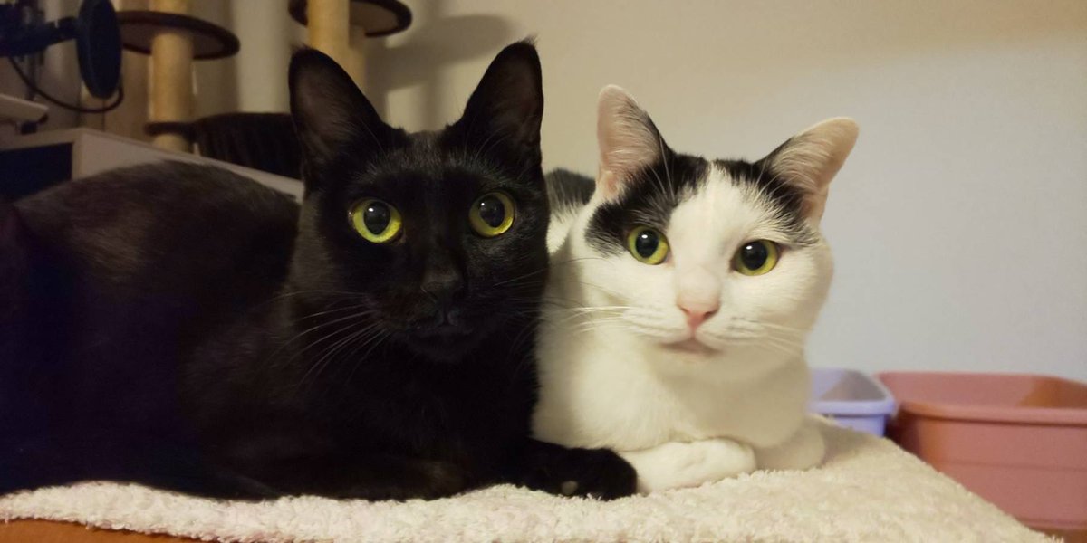 喉の調子が戻らず通院し、薬よーけもらいました…

1週間、のどはおやすみです

花粉が喉に来るなんて
知らなかったんじゃよ、、、😳

ていうか花粉いままで平気やったのに😭

動画の仕事とか引越し準備やっていきます🥲 https://t.co/0rXjXFpQ4W