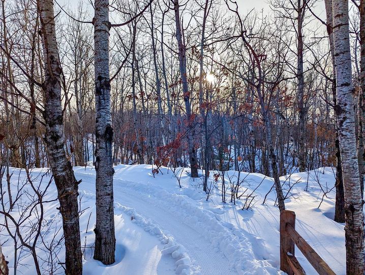 IT’S A SPRING THING           The trails are groomed, including GG south but GG North did not get groomed because we are down one snowmobile for grooming. Return on State Trail if you ride GG south .