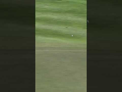 SWING SHOT IT LIKE Haotong Li - HOLE ...
 
https://t.co/mSdOFKjsBY
 
#Birdie #CraziestGolfShots #Golf #GolfForBeginners #GolfGuide #GolfHighlights #GolfMajor #GolfNews #GolfNews2022 #GolfNewsToday #GolfRules #GolfRulesExplained #GolfRumors #GolfShorts #GolfTips #GolfTricks https://t.co/QfdrcCpVgh