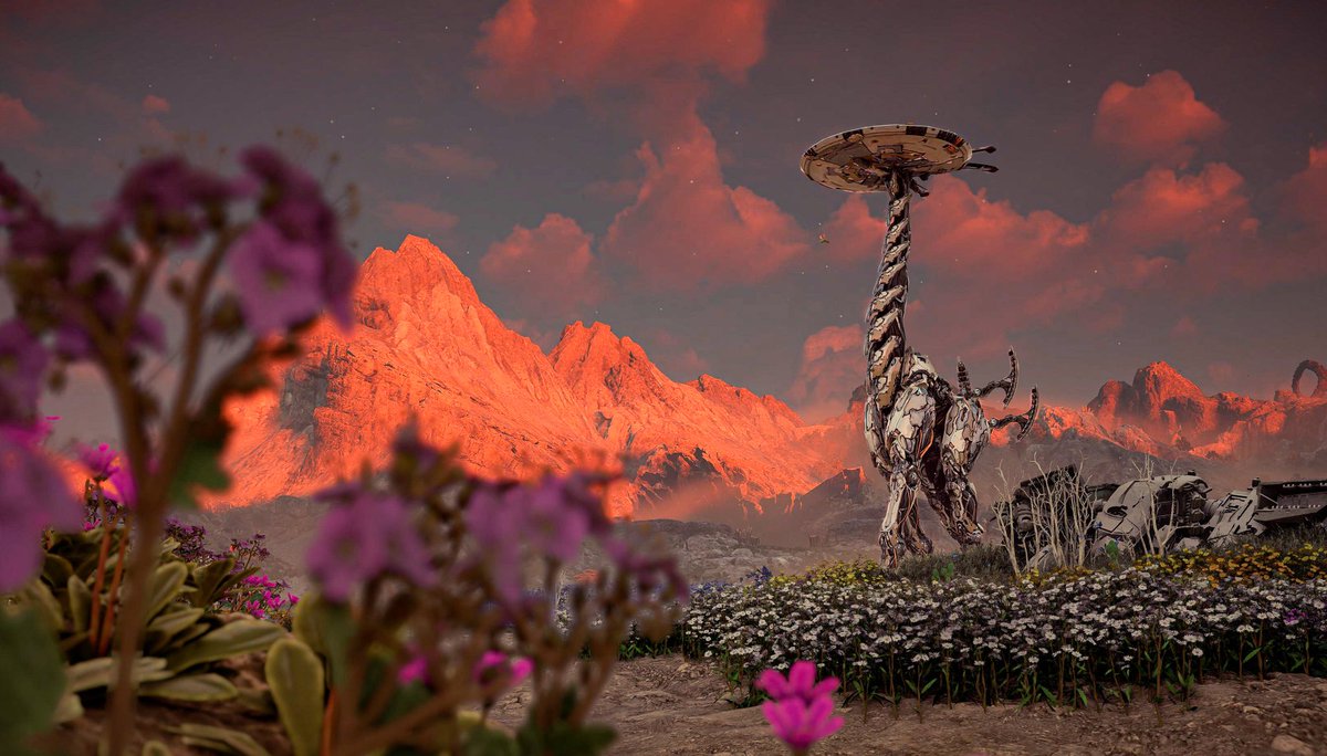 Good morning ☀️

#HorizonForbiddenWest 
<a href="/Guerrilla/">Guerrilla</a>
#PS5

#VirtualPhotography #PSshare #PSBlog #WorldofVP #ForbiddenWestThursday