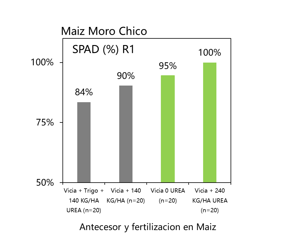 #Maiz #Vicia <a href="/CS_Divulgacion/">Cultivos de Servicios</a> . Vicia pura #Sin #Urea con altos indices de verdor vs #Suficiencia. #Costa. Socio @AapresidFangio #Socio #SebastianBordenave. Gracias <a href="/Mateoagro/">Mateo Nuñez Lucanera</a> <a href="/aapresidneco/">Aapresid Necochea</a> . Veremos que pasa en la cosecha.