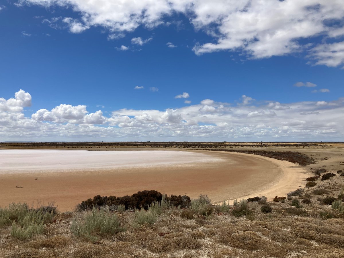 Valerie Hagger tweet media