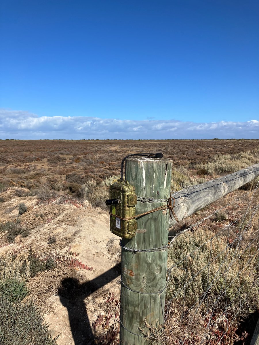 Valerie Hagger tweet media